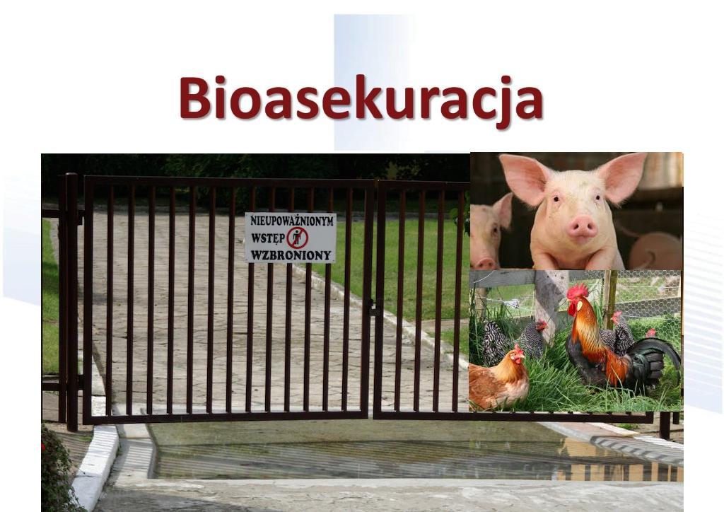 abioasekuracja 2016