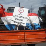 Manifestacja rolników w Luksemburgu 22.06.2009