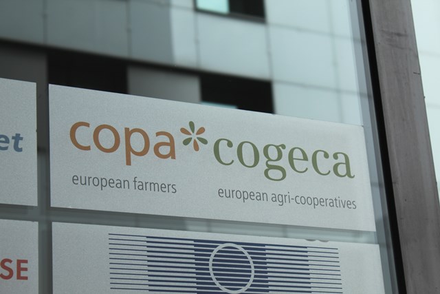 copacopgeca 5