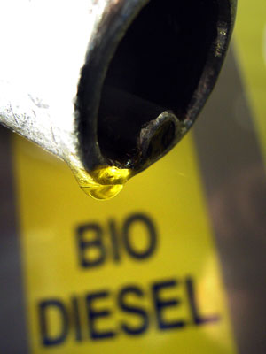 biodiesel