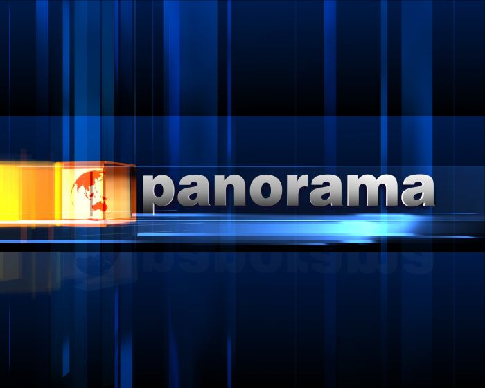 panorama logo