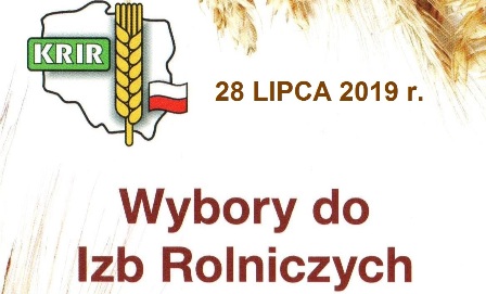 wybory do IR2