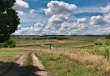 W sprawie ochrony gruntów rolnych i leśnych